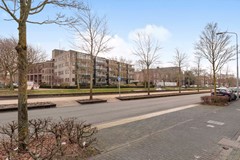 260-Omgeving-02 (Groot).jpg